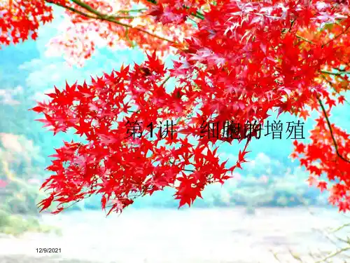 高考生物一轮复习第4单元第1讲细胞的增殖课件高三全册生物课件