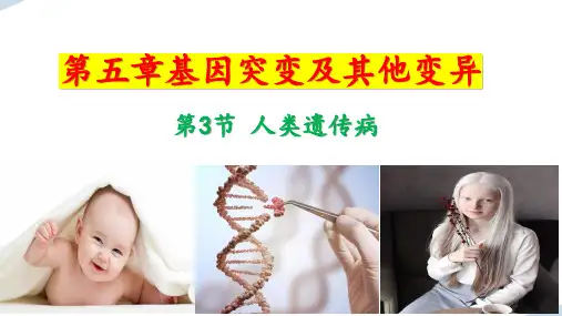 人类遗传病ppt课件