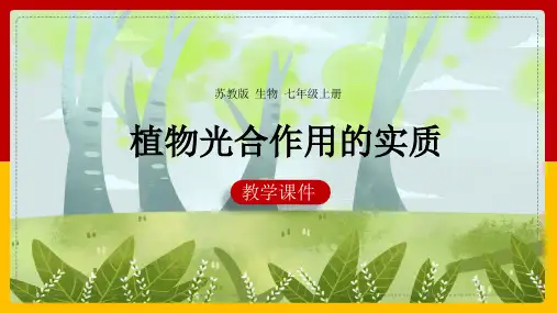 初中生物苏教版七年级上册《6.3植物光合作用的实质》课件
