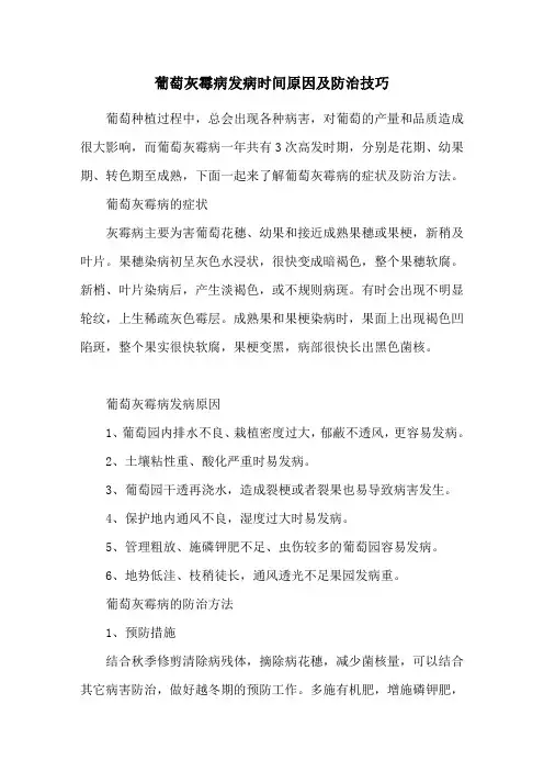 葡萄灰霉病发病时间原因及防治技巧