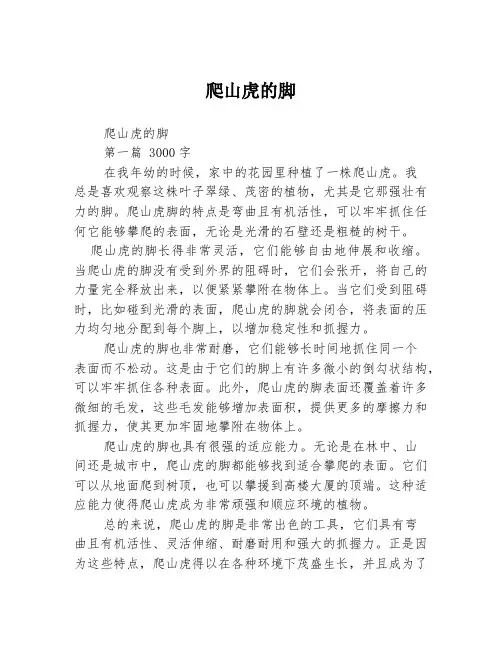 爬山虎的脚2篇