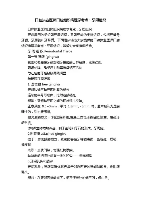 口腔执业医师口腔组织病理学考点：牙周组织