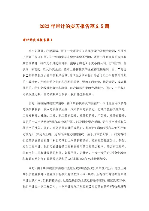 2023年审计的实习报告范文5篇