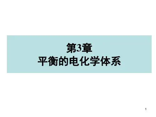 电化学原理3