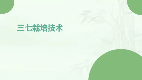 三七栽培技术