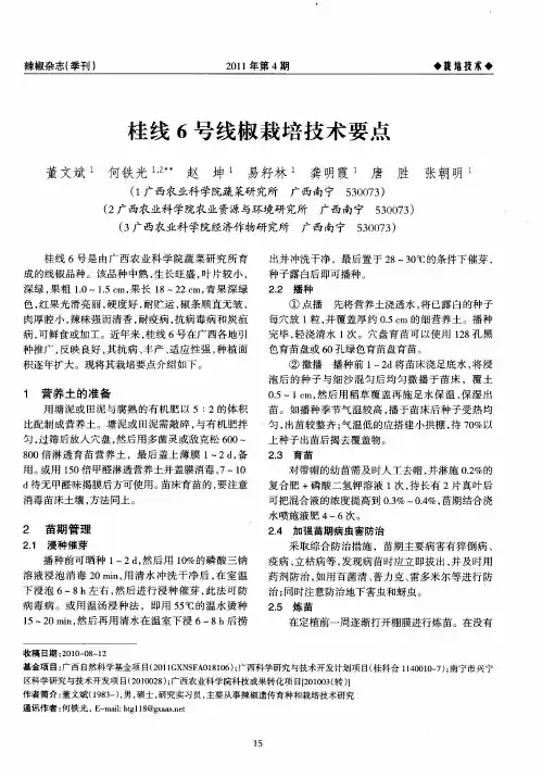 桂线6号线椒栽培技术要点