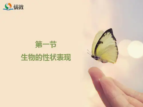 《生物的性状表现》优教课件