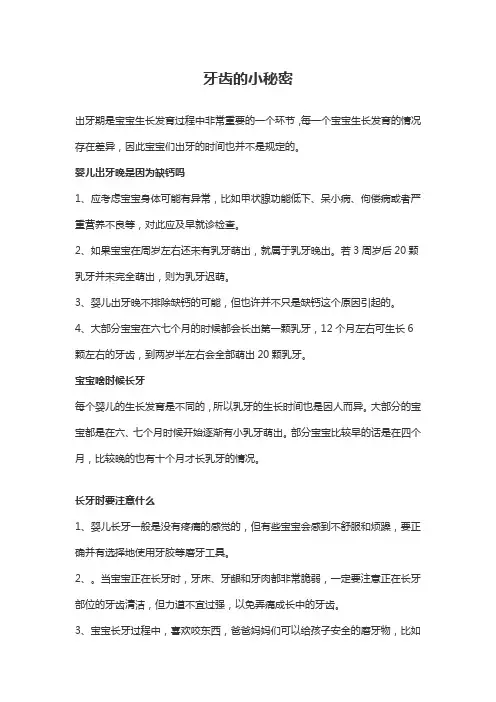 牙齿的小秘密