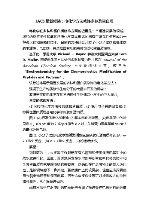 JACS最新综述：电化学方法修饰多肽及蛋白质