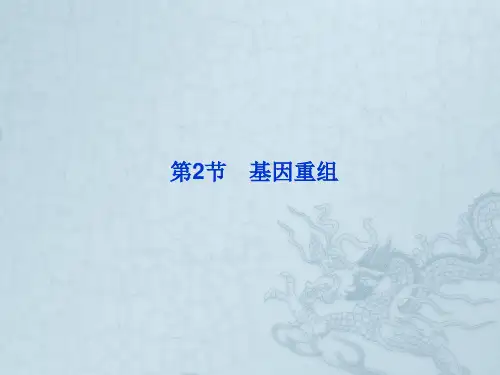 【优化方案】高考生物 第5章第2节基因重组精品课件 北师大版必修2