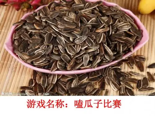 嗑瓜子1