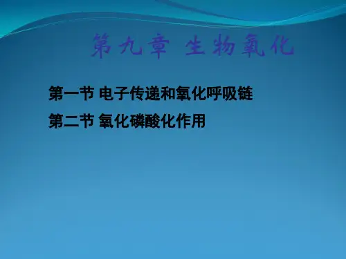 浙大生物化学课件9：生物氧化