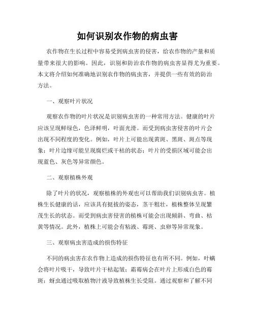 如何识别农作物的病虫害