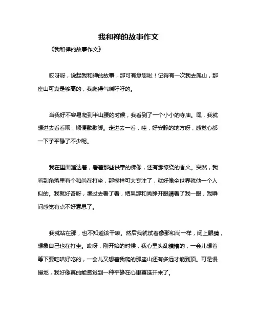 我和禅的故事作文