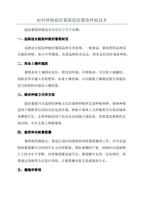如何种植庭院葡萄庭院葡萄种植技术