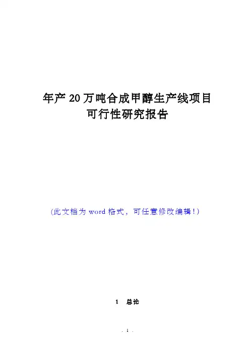 年产20万吨合成甲醇生产线项目可行性研究报告(完美版)