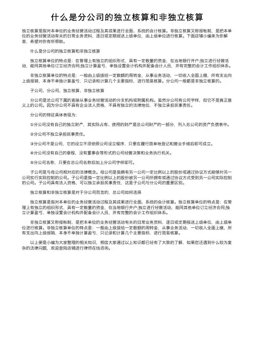 什么是分公司的独立核算和非独立核算