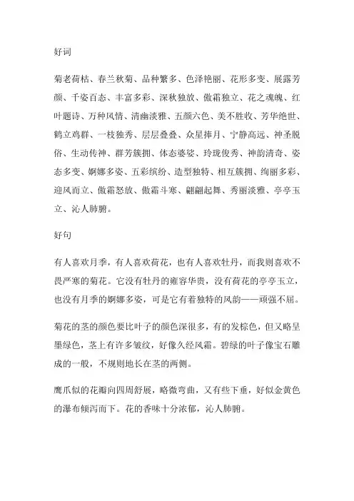 描写菊花的好词好句