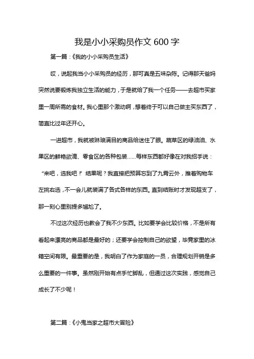 我是小小采购员作文600字