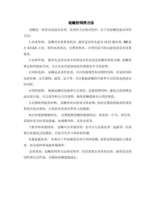 泥鳅的饲养方法