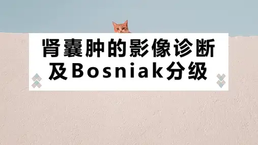 肾囊肿的影像诊断及Bosniak分级