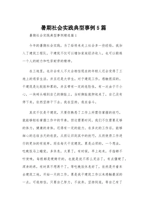 暑期社会实践典型事例5篇