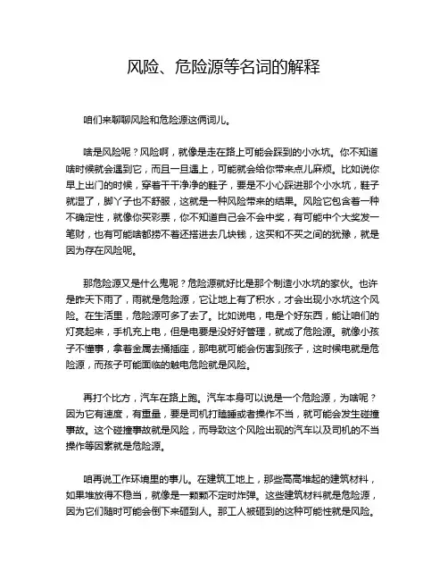 风险、危险源等名词的解释