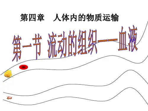 4.1 流动的组织—血液-人教版七年级下册生物课件(共12张PPT)