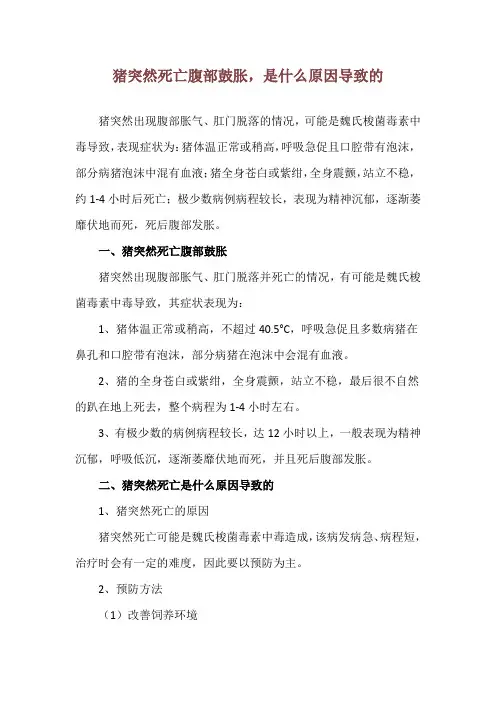 猪突然死亡腹部鼓胀,是什么原因导致的