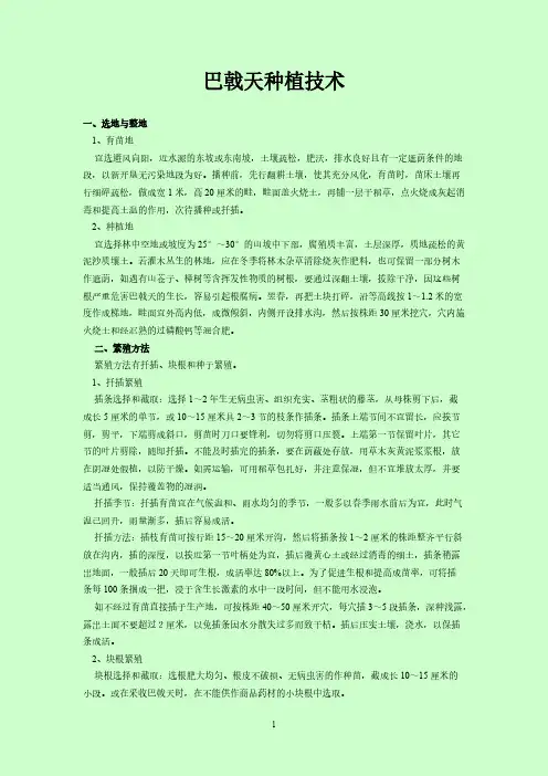 巴戟天种植技术