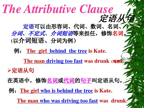 初中定语从句讲解优质PPT