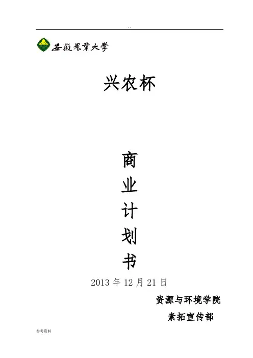 大学生挑战杯商业项目策划书