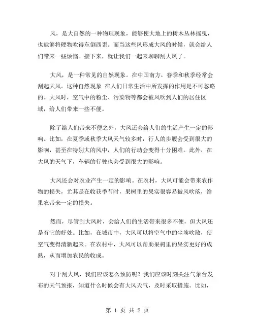 刮大风了作文范文
