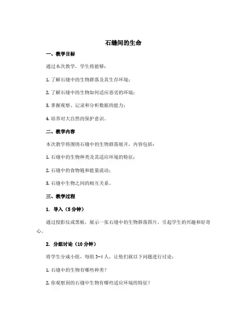《石缝间的生命》优秀教学设计