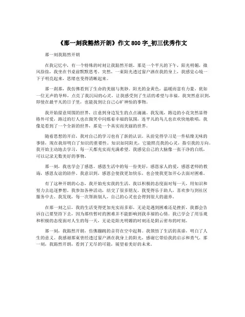 《那一刻我豁然开朗》作文800字_初三优秀作文