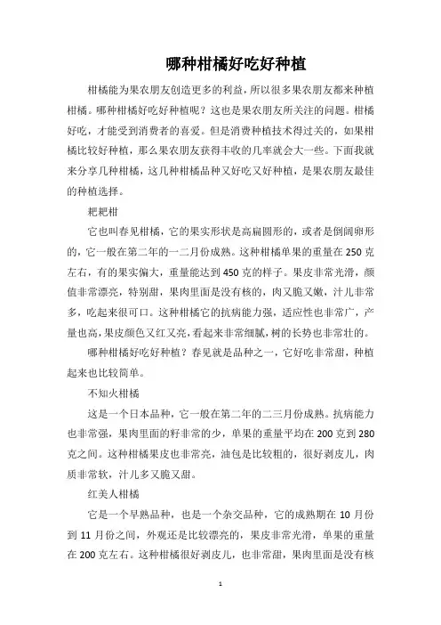 哪种柑橘好吃好种植