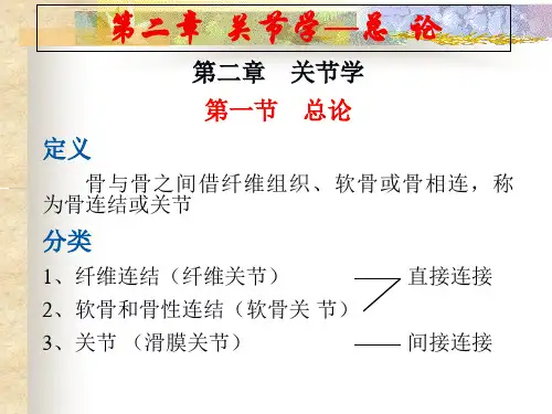 人体解剖学-关节ppt课件