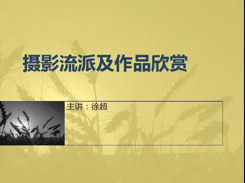 著名摄影流派、大师及作品欣赏