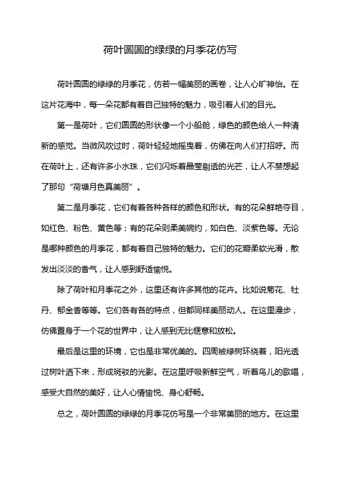荷叶圆圆的绿绿的月季花仿写