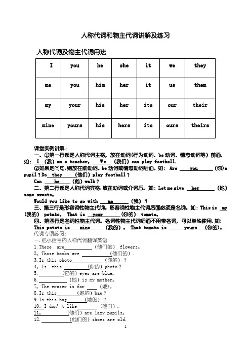 人称代词和物主代词讲解及练习(完整)
