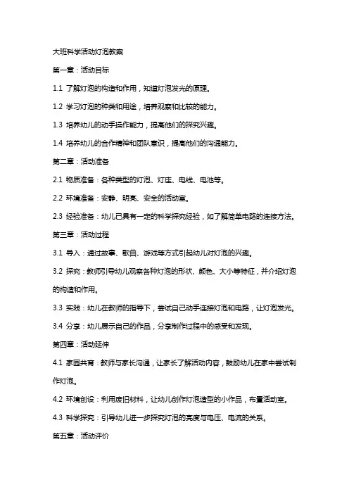 大班科学活动灯泡教案