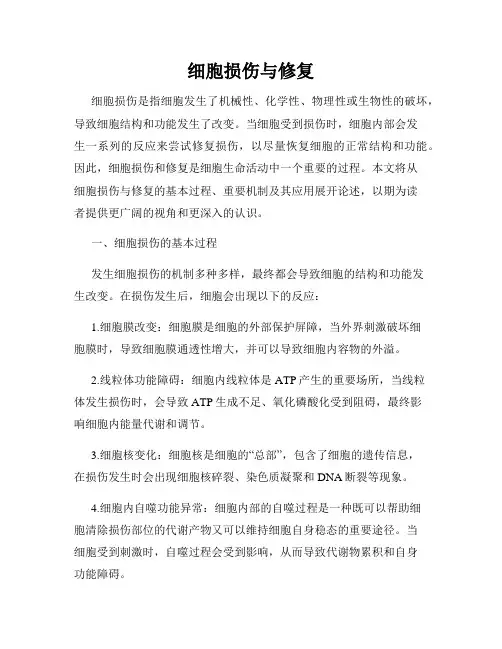 细胞损伤与修复
