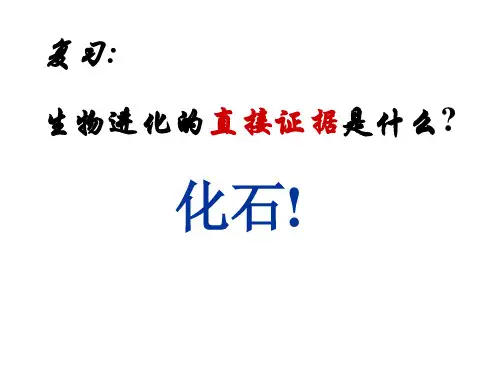 生物演化的历程课件