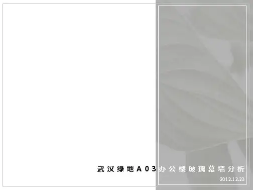 办公楼幕墙研究