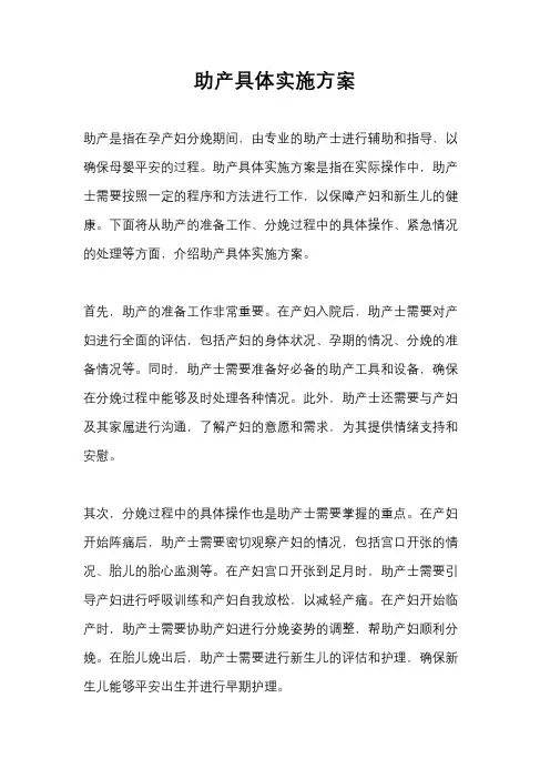 助产具体实施方案