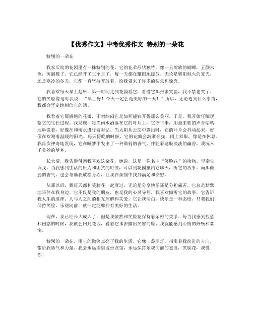 【优秀作文】中考优秀作文 特别的一朵花