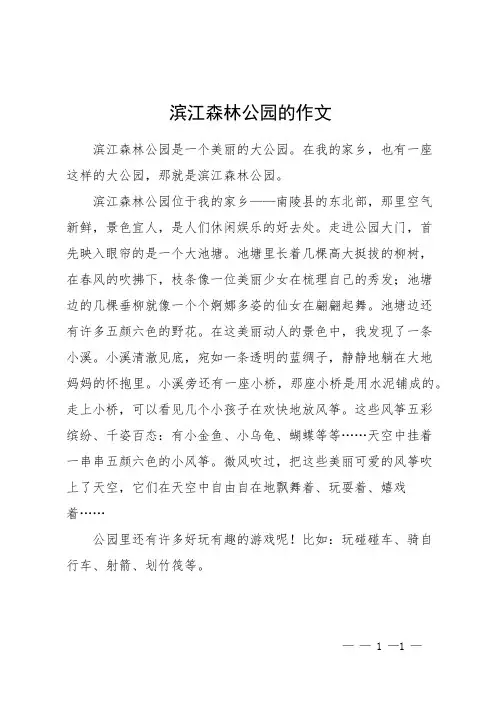 滨江森林公园的作文
