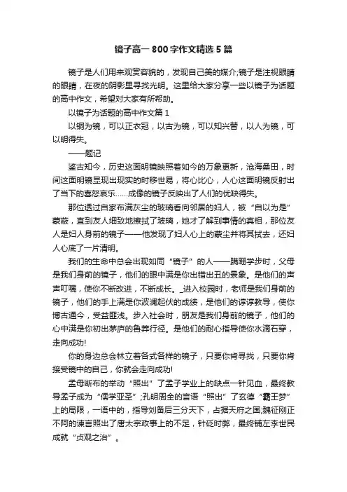 镜子高一800字作文精选5篇