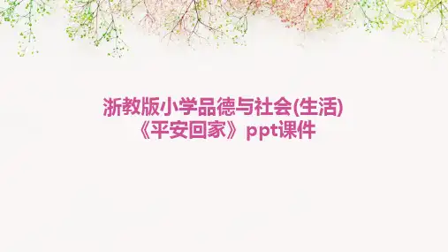 浙教版小学品德与社会(生活)《平安回家》ppt课件