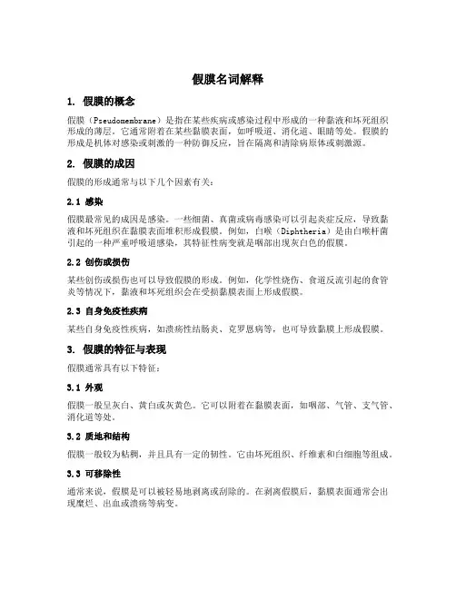 假膜名词解释